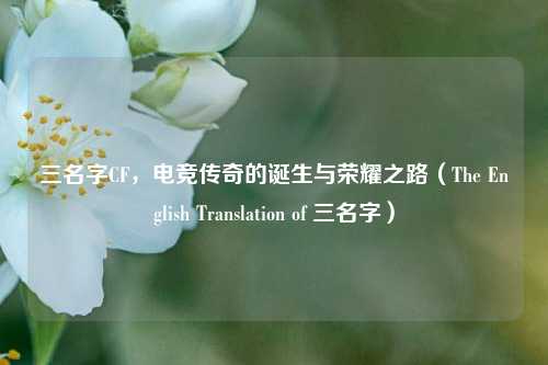 三名字CF，电竞传奇的诞生与荣耀之路（The English Translation of 三名字）
