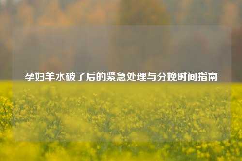 孕妇羊水破了后的紧急处理与分娩时间指南