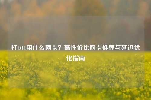 打LOL用什么网卡？高性价比网卡推荐与延迟优化指南
