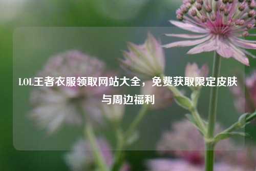 LOL王者衣服领取网站大全，免费获取限定皮肤与周边福利