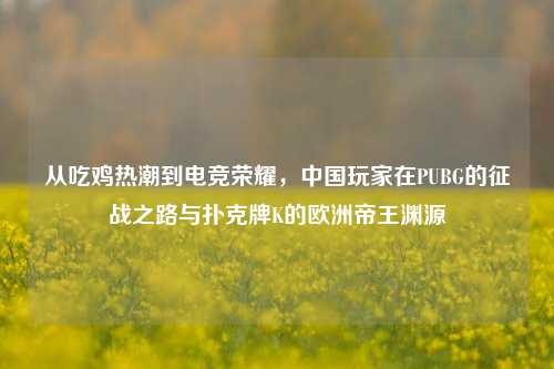 从吃鸡热潮到电竞荣耀，中国玩家在PUBG的征战之路与扑克牌K的欧洲帝王渊源
