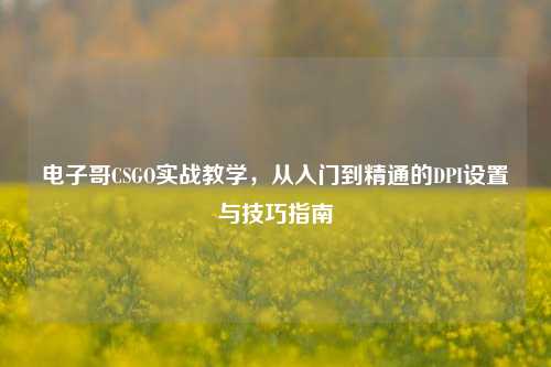 电子哥CSGO实战教学，从入门到精通的DPI设置与技巧指南