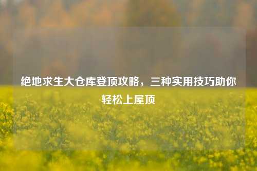 绝地求生大仓库登顶攻略，三种实用技巧助你轻松上屋顶