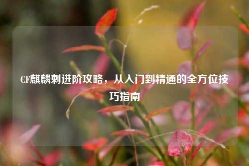 CF麒麟刺进阶攻略，从入门到精通的全方位技巧指南