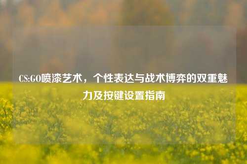 CS:GO喷漆艺术，个性表达与战术博弈的双重魅力及按键设置指南