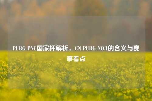 PUBG PNC国家杯解析，CN PUBG NO.1的含义与赛事看点